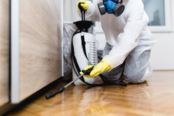Best Cockroach Control Services  in Mercerville, NJ