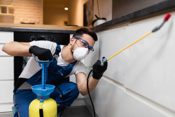 Best Exterminator Services  in Mercerville, NJ