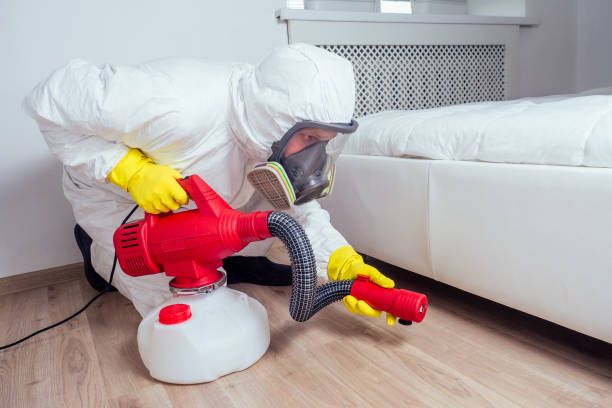 Best Affordable Pest Control Services  in Mercerville, NJ