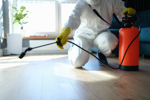Best Pest Inspection Near Me  in Mercerville, NJ