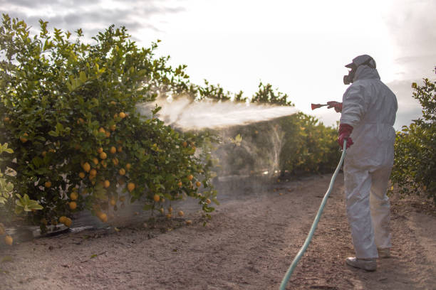 Best Pest Removal Services  in Mercerville, NJ