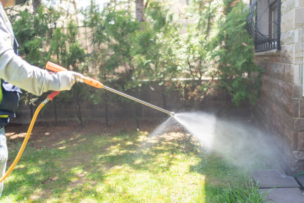 Best Mosquito Control Services  in Mercerville, NJ