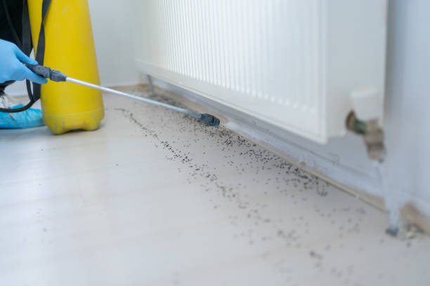 Best Pest Control Near Me  in Mercerville, NJ